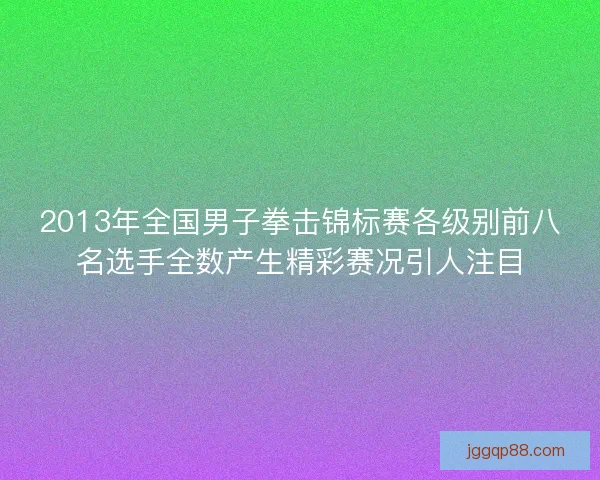 2013年全国男子拳击锦标赛各级别前八名选手全数产生精彩赛况引人注目